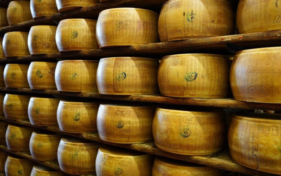 From Parma: Parmigiano and Parma Ham Guided Food Tour - Parmigiano tastings with sparkling Malvasia and local wine