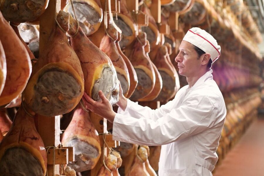 From Parma: Parmigiano and Parma Ham Guided Food Tour - Getting to the NH hotel pickup and what 5 hours feels like