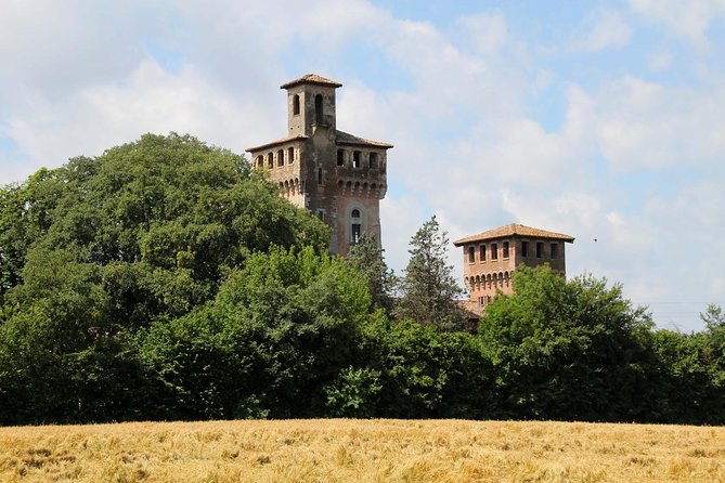 From Parma: Parmigiano,Prosciutto and winery Tour and tasting - Parma Hills Winery in Località Cangelasio: vineyards, cellars, and three wines