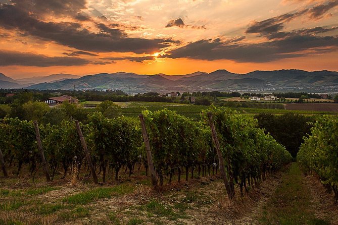 From Parma: Parmigiano,Prosciutto and winery Tour and tasting - Price and logistics: is $239.12 a fair deal?
