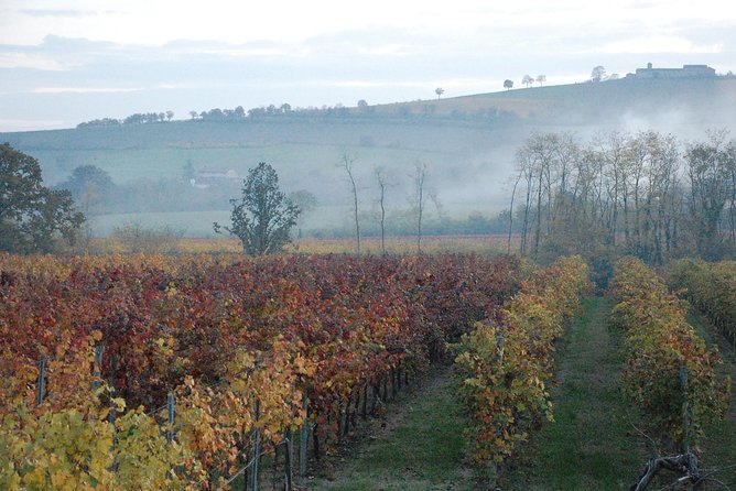 From Parma: Parmigiano,Prosciutto and winery Tour and tasting - Quick practical tips before you go