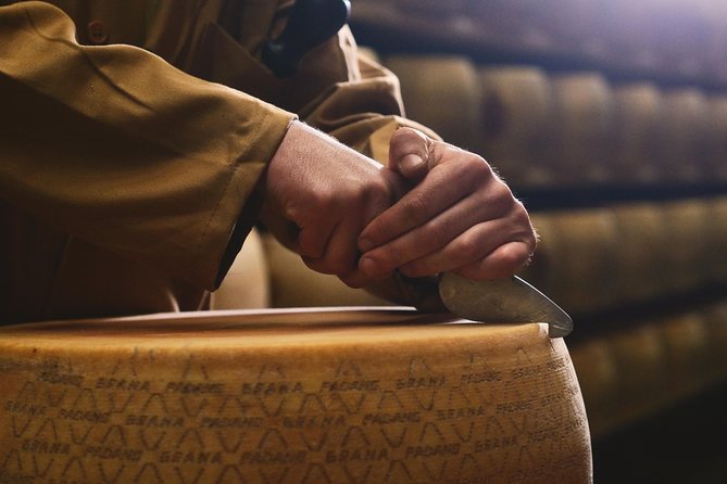 From Parma: Parmigiano Reggiano Farm Tour & Tasting with Transfer - Who should book this Parmigiano-Reggiano tour