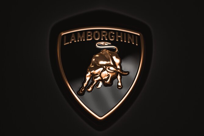 Full Day Super Cars, Parmesan, Balsamic Tour w/Light Lunch - Ferrari Museum in Maranello: cars, images, and trophies