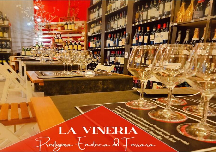 Guided tasting of local wines - Price and value: is $30 per person worth it?
