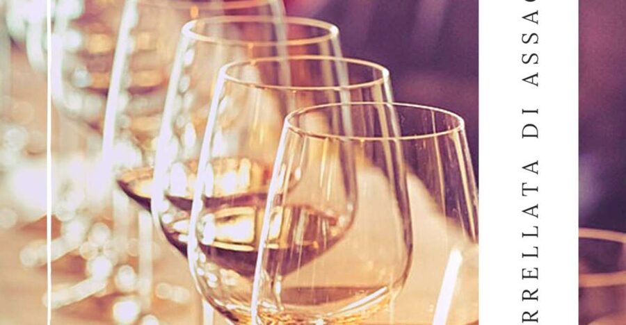 Guided tasting of local wines - Who should book this guided tasting (and who should skip it)?