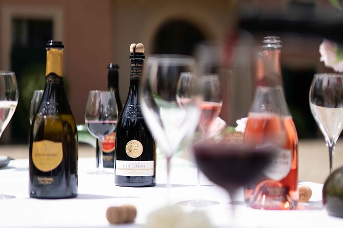 Guided Tour Cleto Chiarli with Lambrusco Tasting - Who should book this and who might not bother