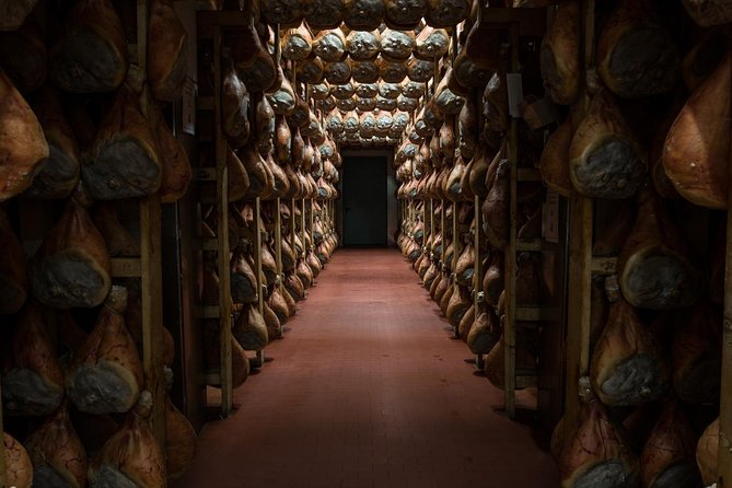 Half Day Private Parmigiano Reggiano and Parma Ham Experience - The tasting lineup: 4 cheese ages, ricotta, cured meats, and DOC wine