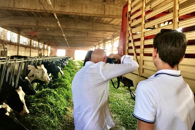 Half Day Private Parmigiano Reggiano and Parma Ham Experience - Private format: how the guide and driver change the experience