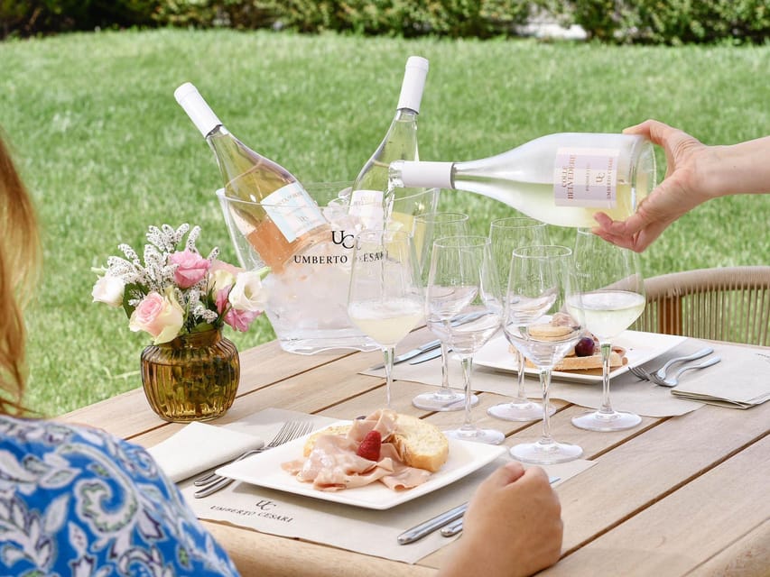 Luxury Wine Tasting with Food Pairing near Bologna - Key highlights to look for