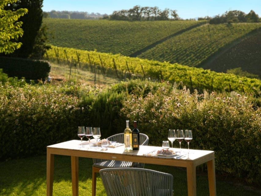 Luxury Wine Tasting with Food Pairing near Bologna - The tasting trio: Pignoletto, rosé, and Sangiovese Riserva
