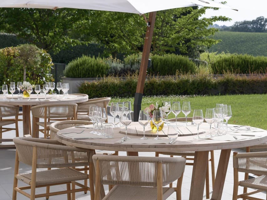 Luxury Wine Tasting with Food Pairing near Bologna - Who should book this wine and food tasting (and who might skip)