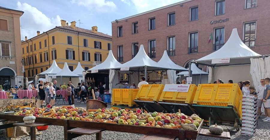 Modena: a stunning city - Balsamic vinegar tasting in Piazza Mazzini: how to make it fun