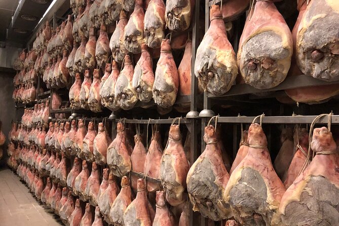 Modena Food:Prosciutto,Parmigiano,Balsamic,Wine,Lunch,Transport - Key points to know before you go