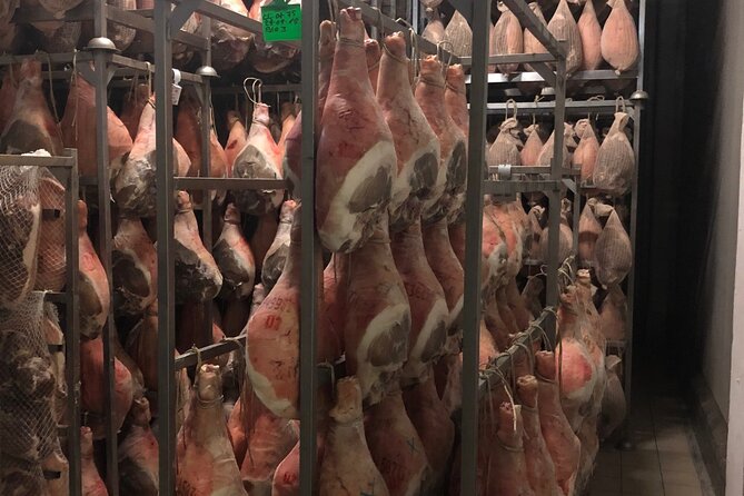 Modena Food:Prosciutto,Parmigiano,Balsamic,Wine,Lunch,Transport - Pickup in Bologna: the meeting point that avoids confusion