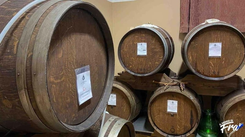 Modena: Guided Balsamic Vinegar Cellar Tour & Optional Meal - Tasting time: traditional, PGI, and the in-between styles