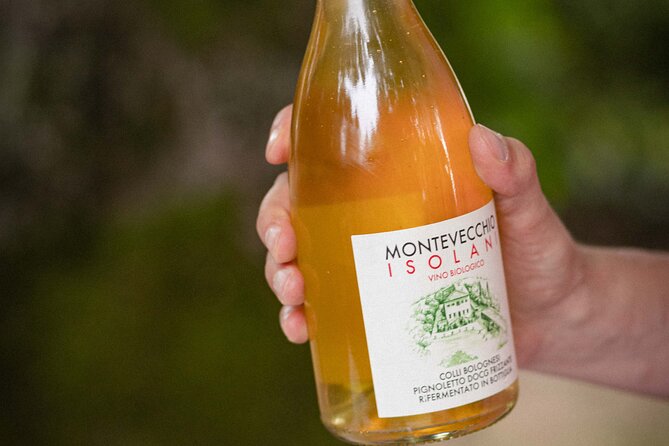 Montevecchio Isolani wine tasting experience - Price and value: is $60.08 worth it in practice?