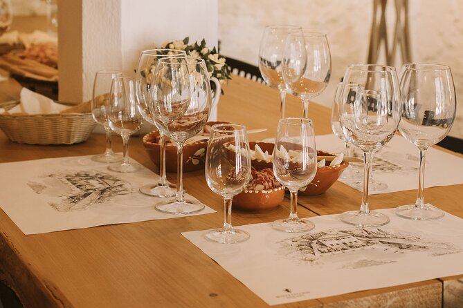 Montevecchio Isolani wine tasting experience - Group size, language, and comfort: practical expectations before you go