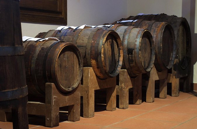 Parma Delights Tour: Parmigiano, Prosciutto & Balsamico - Stop 3 in Modena: Balsamic Vinegar Black Gold and a 40-Acre Vineyard Walk