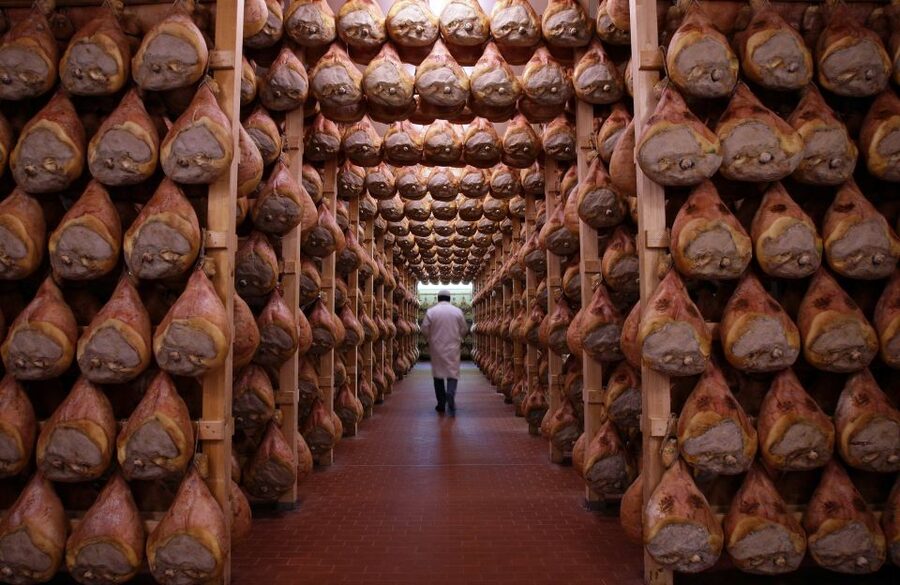 Parma: Full Day Food Tour with Tastings and Lunch - What this tour is really good for (and what to watch)