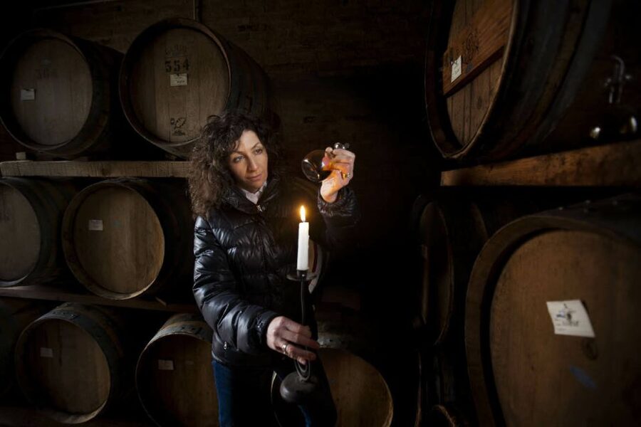 Parma: Full Day Food Tour with Tastings and Lunch - Timing, walking, and what to wear