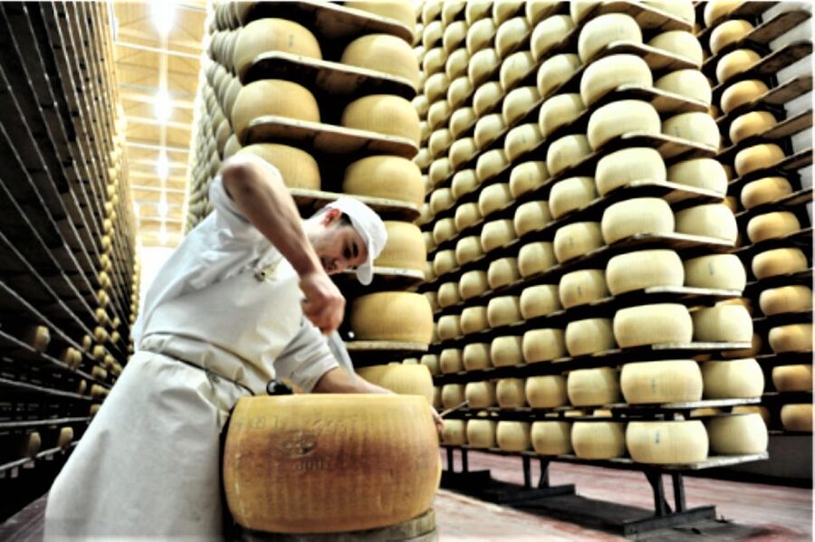 Parma: Parmigiano Production and Parma Ham Tour & Tasting - The Prosciutto di Parma factory in the Parma province hills