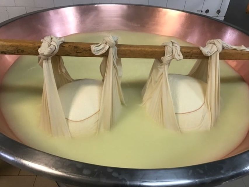 Parma: Parmigiano Production and Parma Ham Tour & Tasting - Transport, timing, and what to wear so the day feels easy