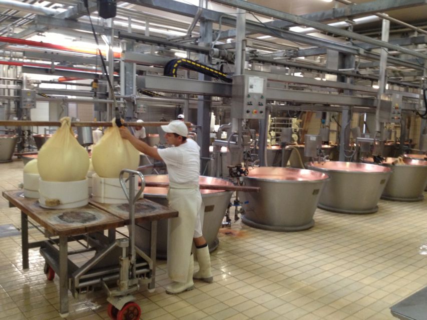 Parma: Parmigiano Reggiano Farm Tour & Tasting with Transfer - Getting there from NH Parma without making a mess of your day
