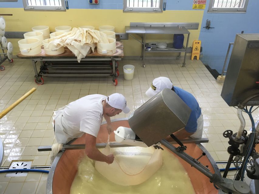 Parma: Parmigiano-Reggiano Tour and Tasting - Seeing Parmigiano-Reggiano Made by Hand in the Parma Countryside
