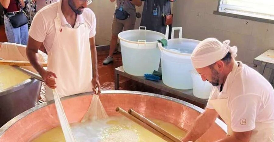 Parma: Traditional Cheese Factory Visit with Tasting - Why Parmigiano Reggiano Needs a Factory Visit (Not Just a Shop Stop)