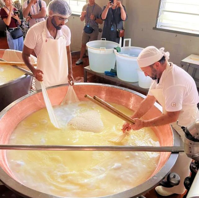 Parma: Traditional Cheese Factory Visit with Tasting - Shopping Moment: Bringing Parma Home Without Overbuying