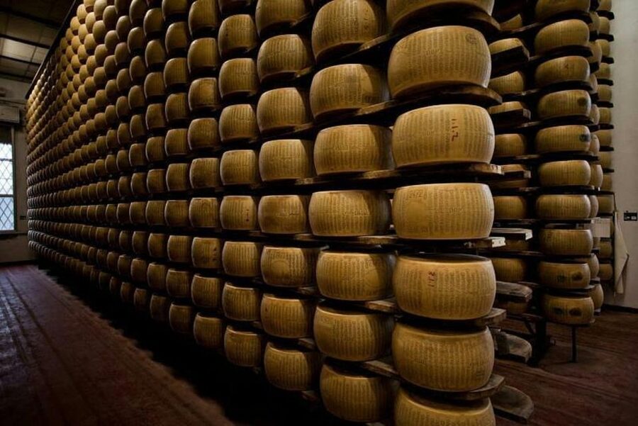 Parma: Traditional Cheese Factory Visit with Tasting - Price and Value: Is $82 Worth It?