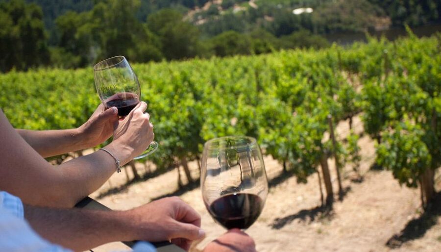 Parma: Winery Tour and tasting - Key highlights to know before you go