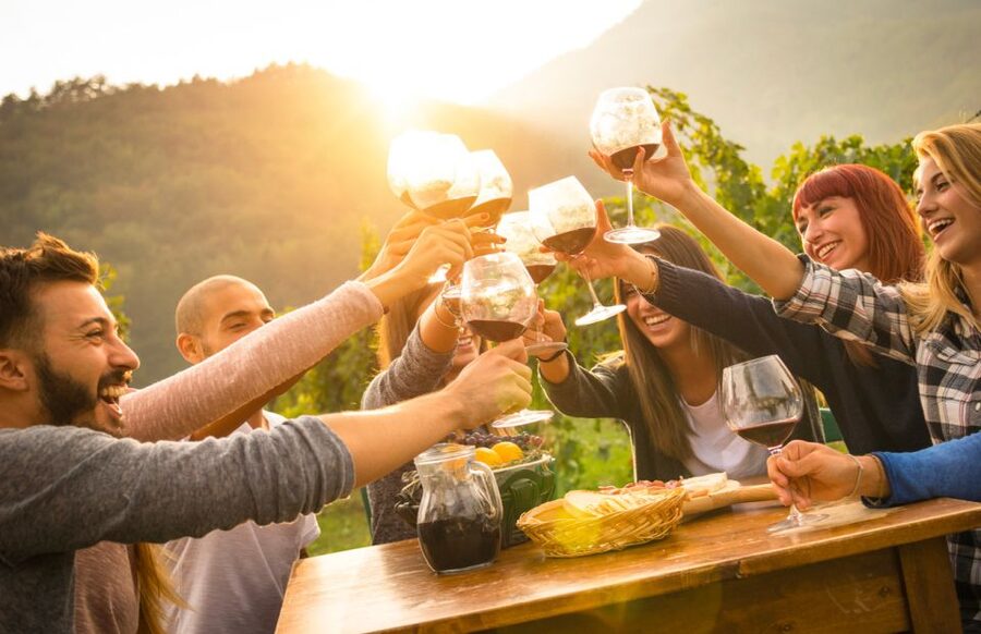 Parma: Winery Tour and tasting - Winery time and wine tasting: how the flavors get explained