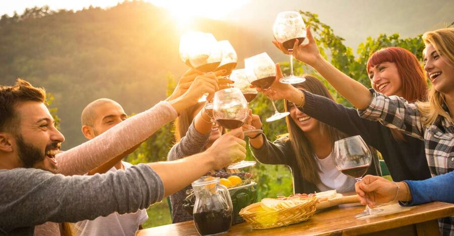 Parma: Winery Tour and tasting - Bottle shopping at Salsomaggiore Terme: what to buy (and how to choose)