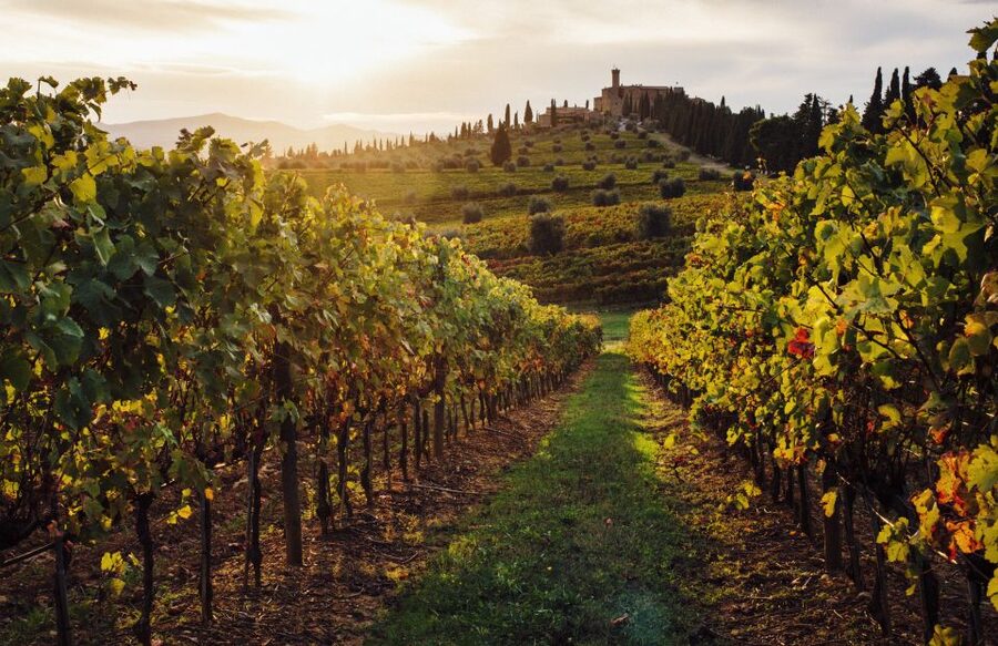 Parma: Winery Tour and tasting - Should you book Parma hills Winery Tour and tasting?