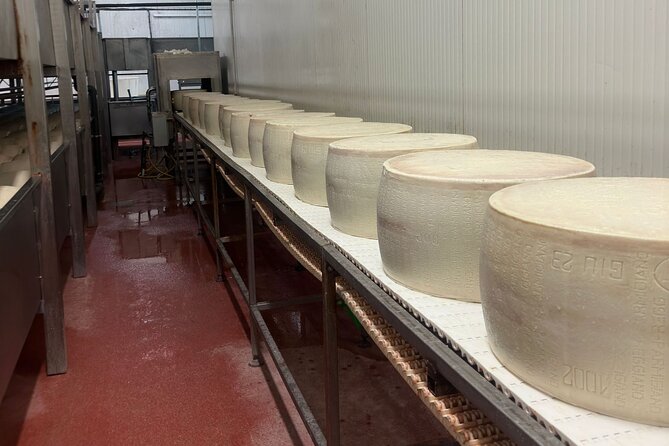 Parmesan and Balsamic Food Tour with Ferrari Museum - Ferrari Museum in Maranello: self-guided, fast, and worth it