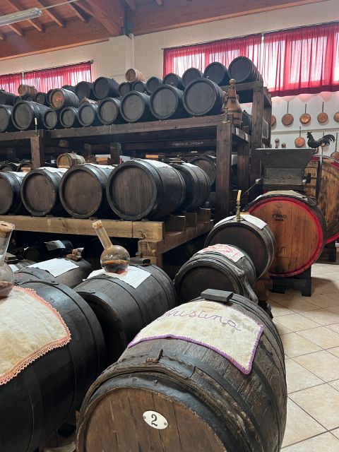 Parmesan and Balsamic Food Tour with Ferrari Museum - Who should book this Parmesan and Balsamic day—and who should skip it