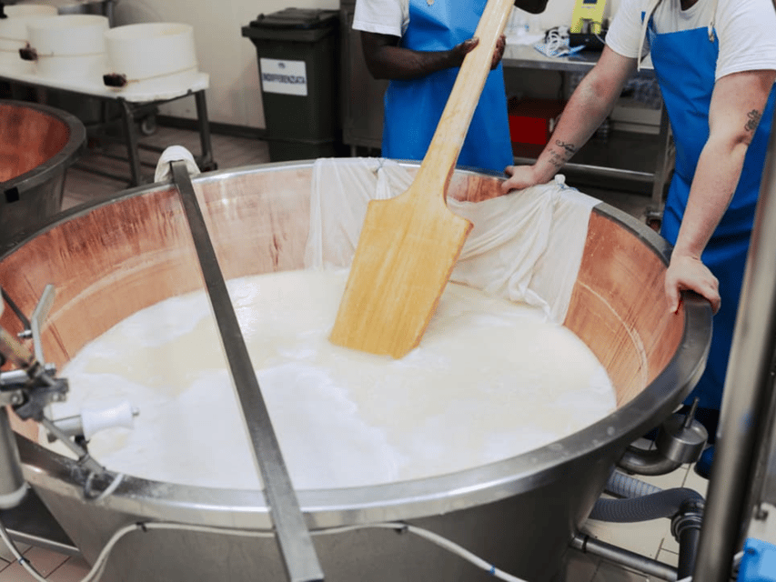 Parmesan Cheese Factory Tour & Tasting near Parma - The 7:30 AM / 8:30 AM production-room window