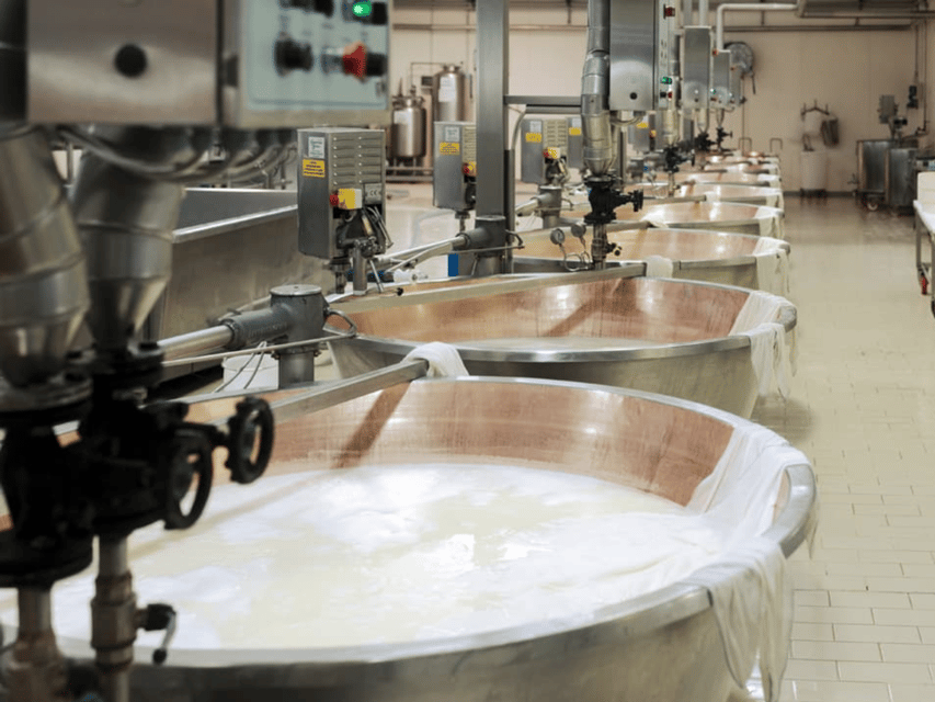 Parmesan Cheese Factory Tour & Tasting near Parma - Tasting three ages of Parmigiano Reggiano (15, 24, 36 months)