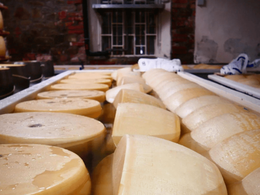 Parmesan Wheels near Parma: Tasting & Factory Tour - The tasting: three maturations, fresh ricotta, fruit, grissini, and water