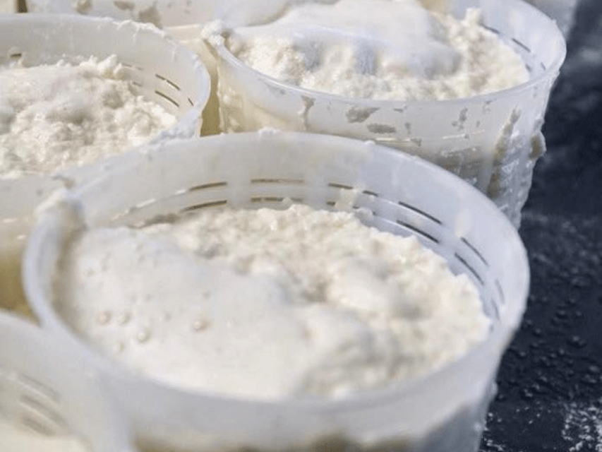 Parmesan Wheels near Parma: Tasting & Factory Tour - The optional farm visit for calves (April–September)