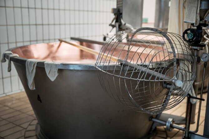 Parmigiano & Balsamic Artisans: In-Depth Private Tour and Tasting - Guides, friendliness, and why the human touch matters here