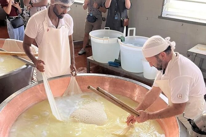 Parmigiano Cheese Factory Visit and Tasting - Where Parma’s Real Parmigiano Starts: Cows, Milk, Wheels