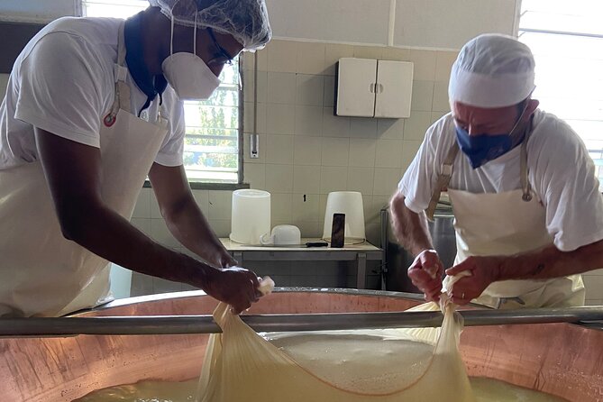 Parmigiano-Reggiano Cheese Factory Small group Tour From Parma - Who should book this Parmigiano tour?