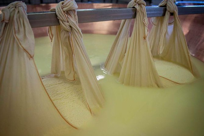 Parmigiano Reggiano Cheese Factory Tour & Tasting Experience - The Production Visit: Barns, Workshop, and an Aging Room With Real Answers