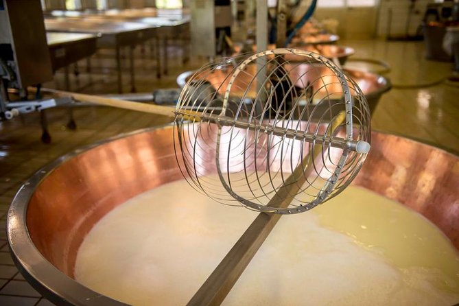 Parmigiano Reggiano Cheese Factory Tour & Tasting Experience - The Farm Stop and the Cows: Where Milk Becomes a Story