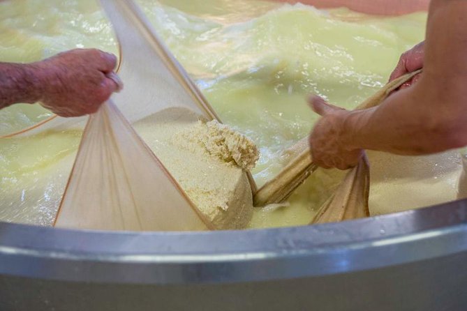 Parmigiano Reggiano Cheese Factory Tour & Tasting Experience - Price and Value: What You’re Paying For (and What Makes It Not Just Expensive)
