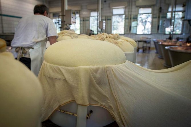 Parmigiano Reggiano Cheese Factory Tour & Tasting Experience - Getting From Bologna and Around Reggio Emilia: Pickup and Timing That Need Action