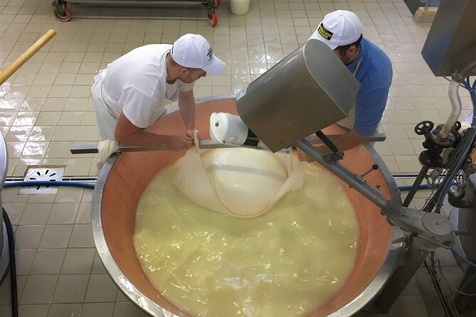 Parmigiano-Reggiano Tour and tastings - The guided production walkthrough: from curdling to wheel cathedrals