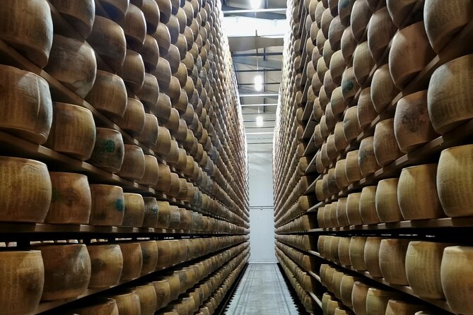 Parmigiano Wine and Balsamic Vinegar Experience from Bologna - Key Things to Know Before You Go